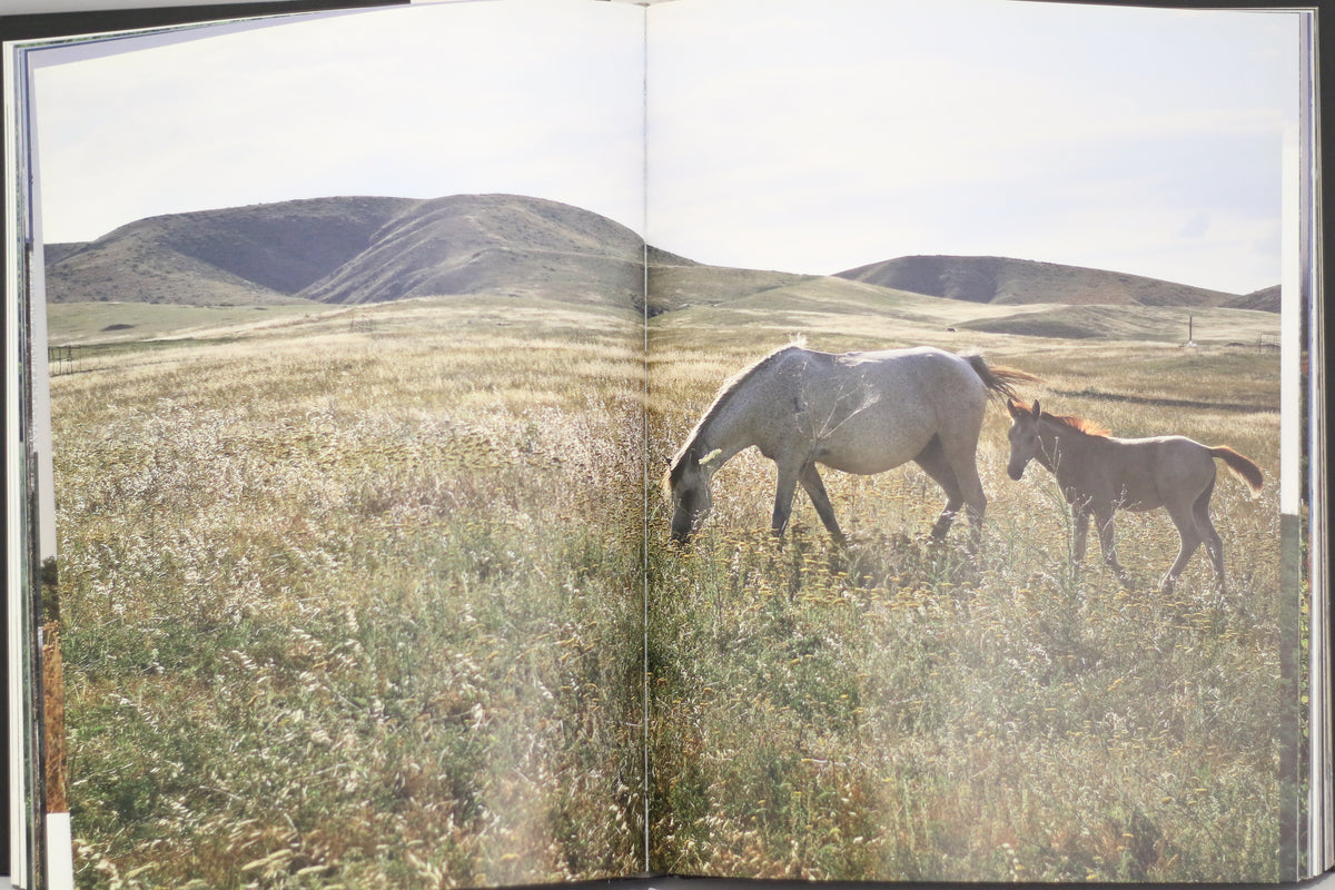 Karabakh: The Secret Garden