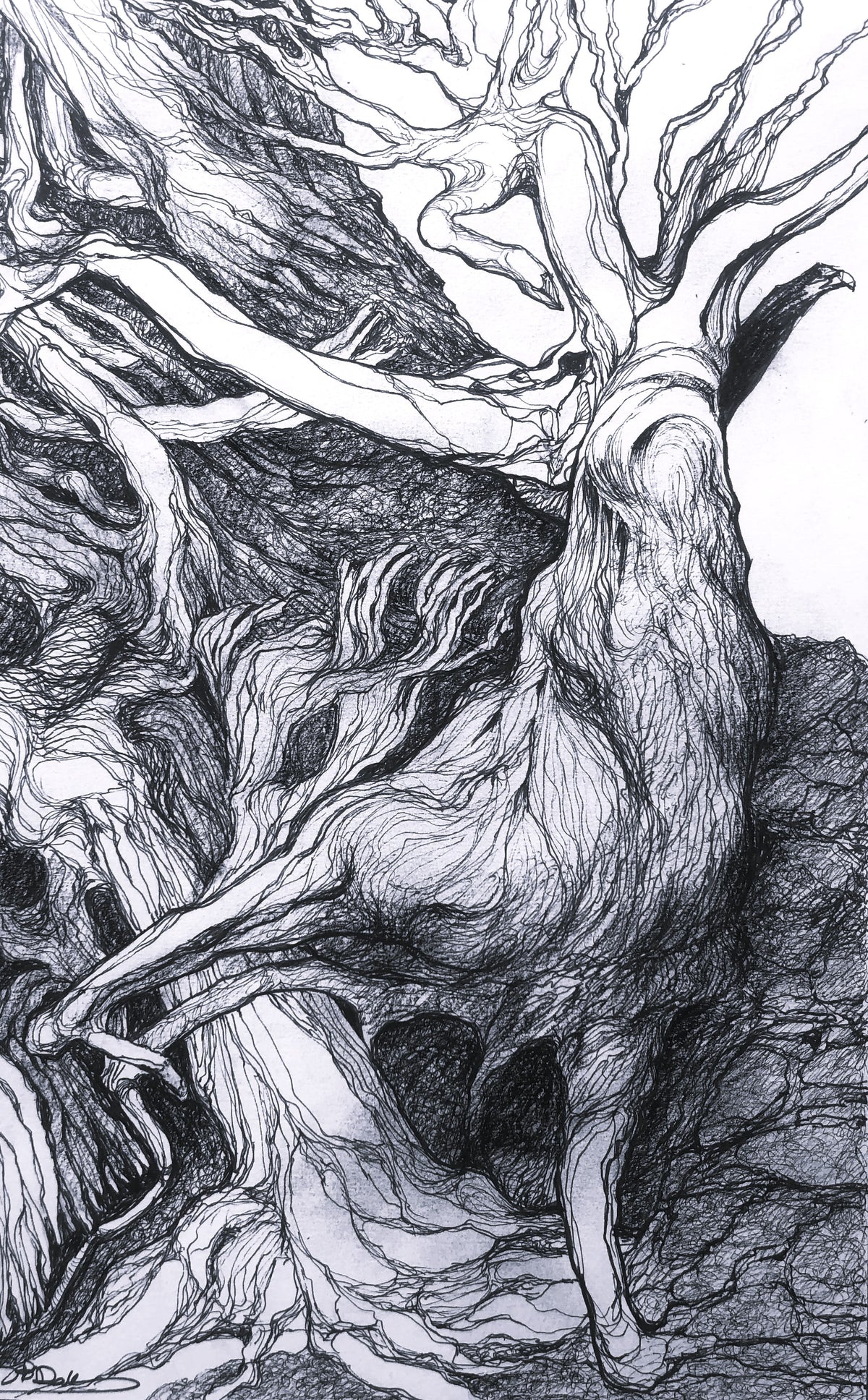 Encounters and Convergences: A Book of Ideas and Art