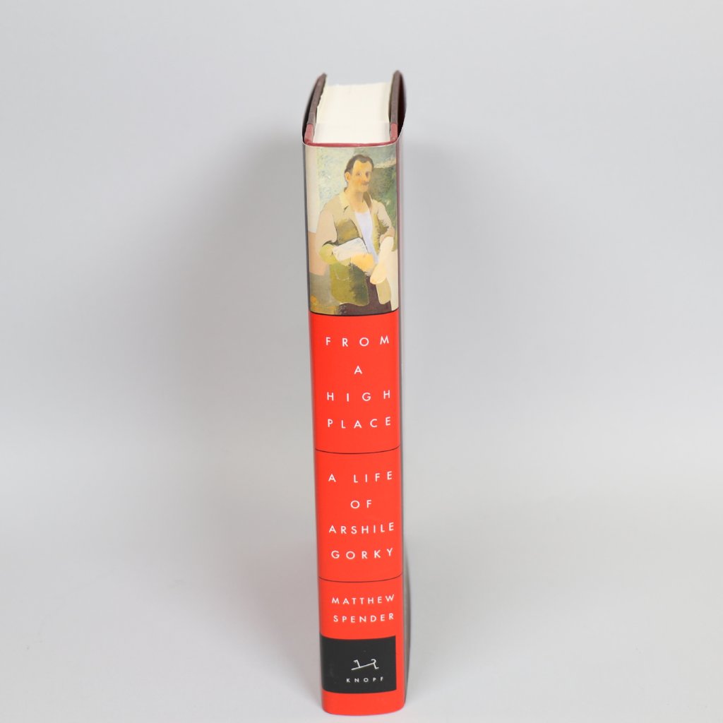 From a High Place: A Life of Arshile Gorky